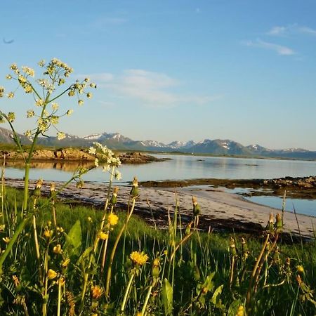 Sjarmerende Hus Med Orkesterplass Til Hav Og Fjell Stave Exterior foto