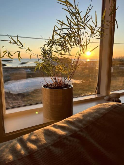 Sjarmerende Hus Med Orkesterplass Til Hav Og Fjell Stave Exterior foto