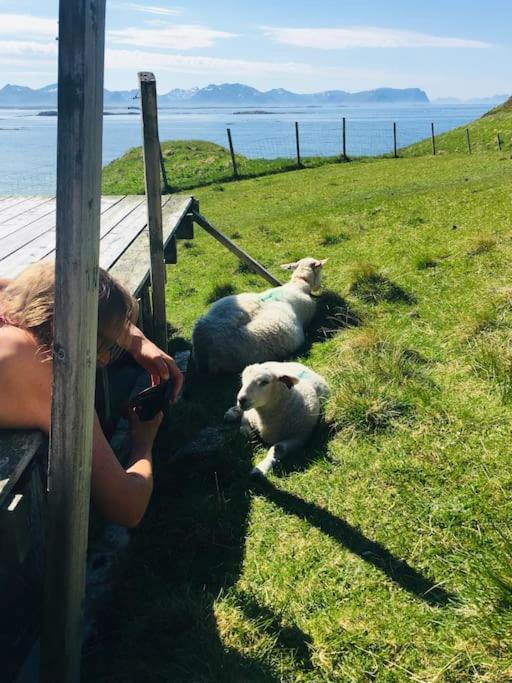 Sjarmerende Hus Med Orkesterplass Til Hav Og Fjell Stave Exterior foto
