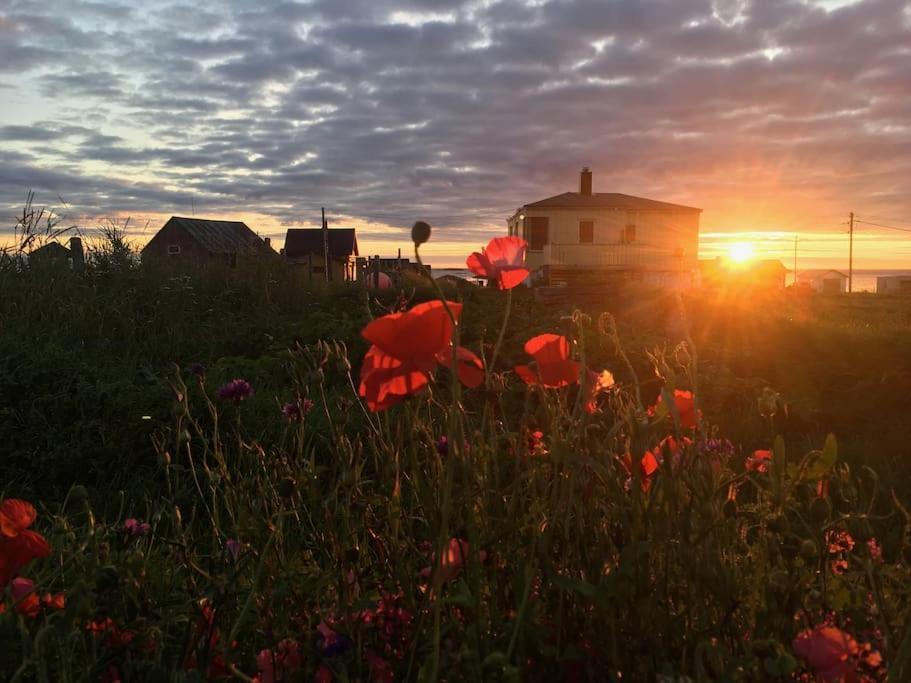Sjarmerende Hus Med Orkesterplass Til Hav Og Fjell Stave Exterior foto
